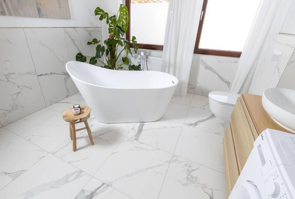 Design & Relax #Altstadt #Sauna Wittenberg Exteriör bild