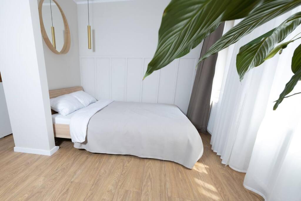 Design & Relax #Altstadt #Sauna Wittenberg Exteriör bild